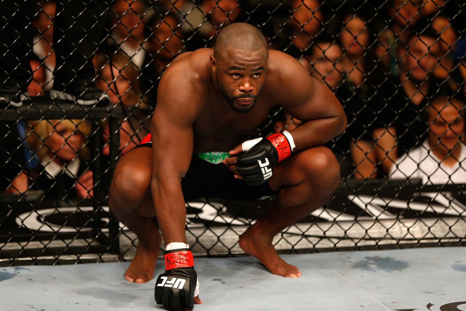 Rashad Evans Squat Sit Wallpaper