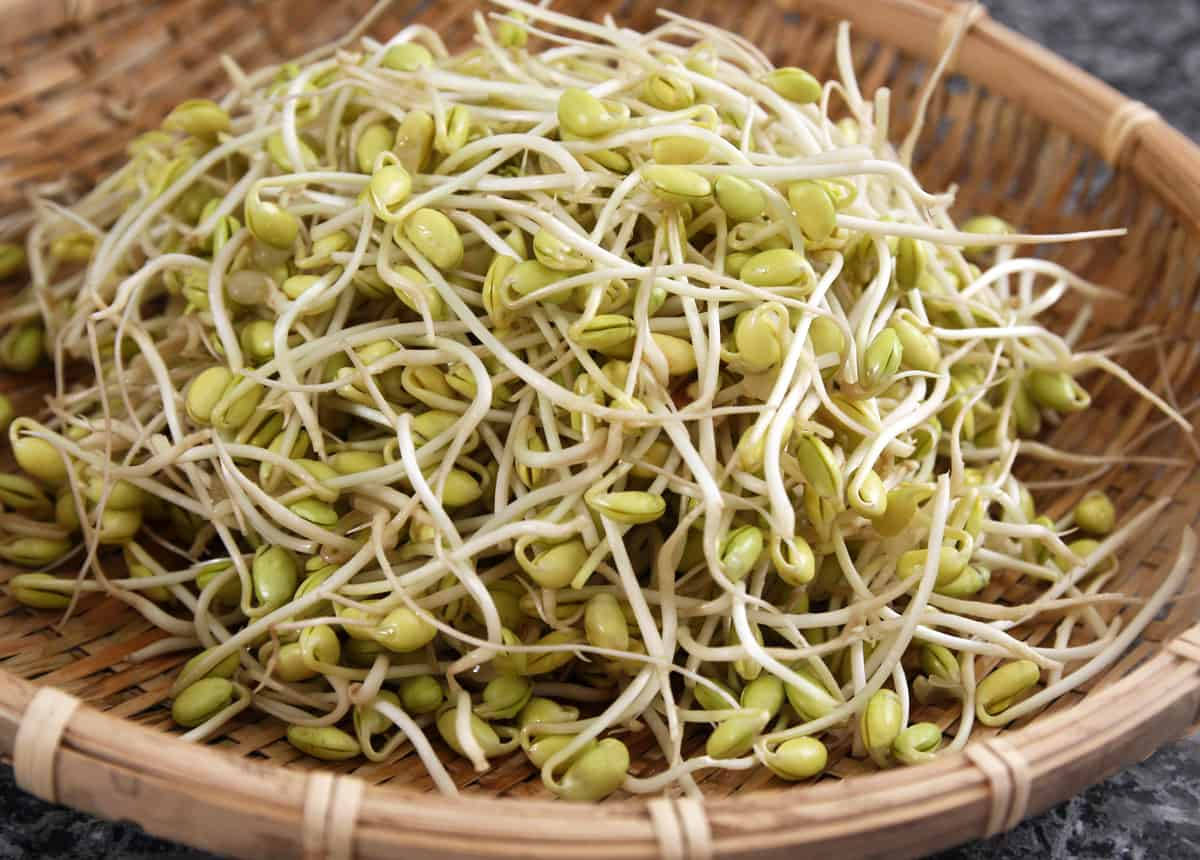 Rattan Basket Mung Bean Sprouts Vegetable Wallpaper