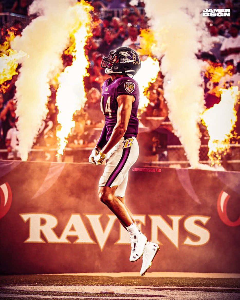 Ravens_ Player_ Fireworks_ Display Wallpaper