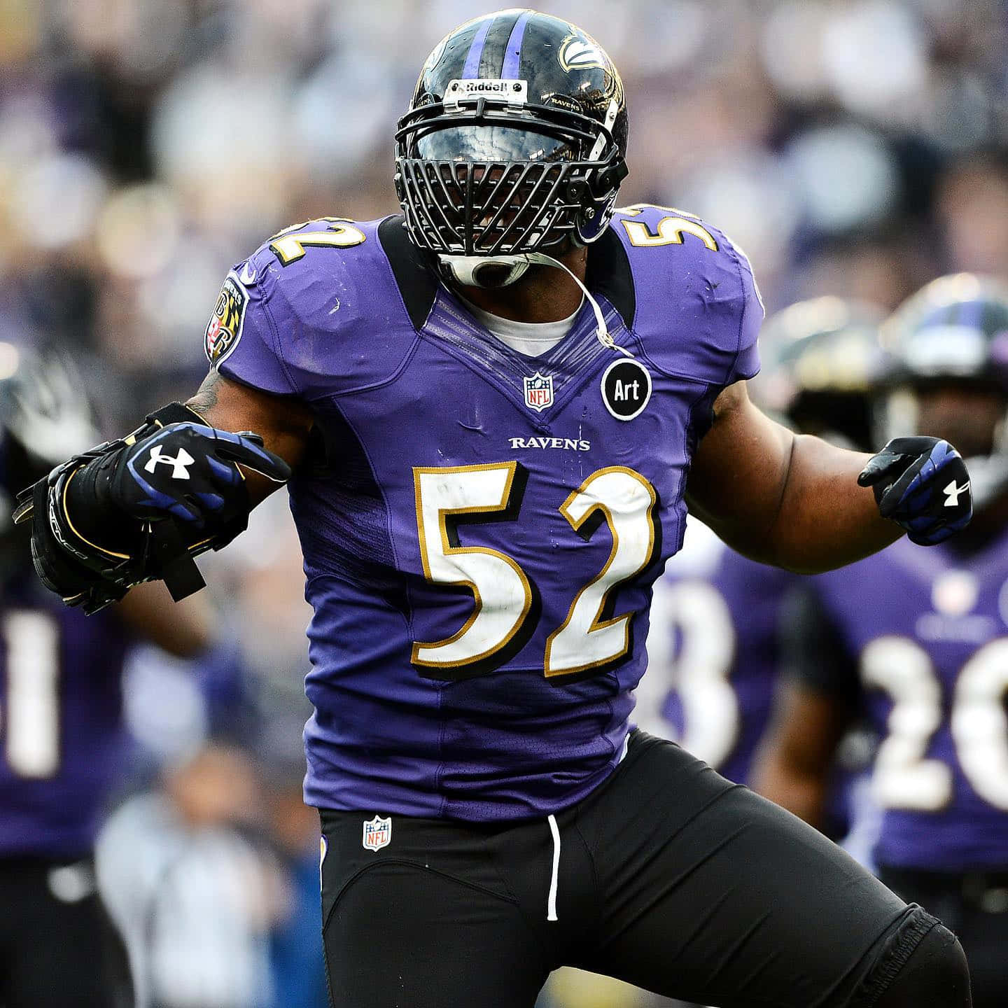 Ray Lewis Baltimore Ravens Intensity Wallpaper