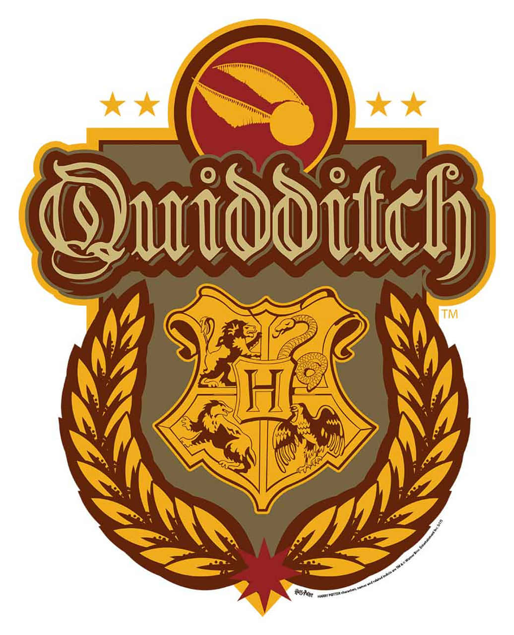 Ready For The Big Quidditch Match? Wallpaper