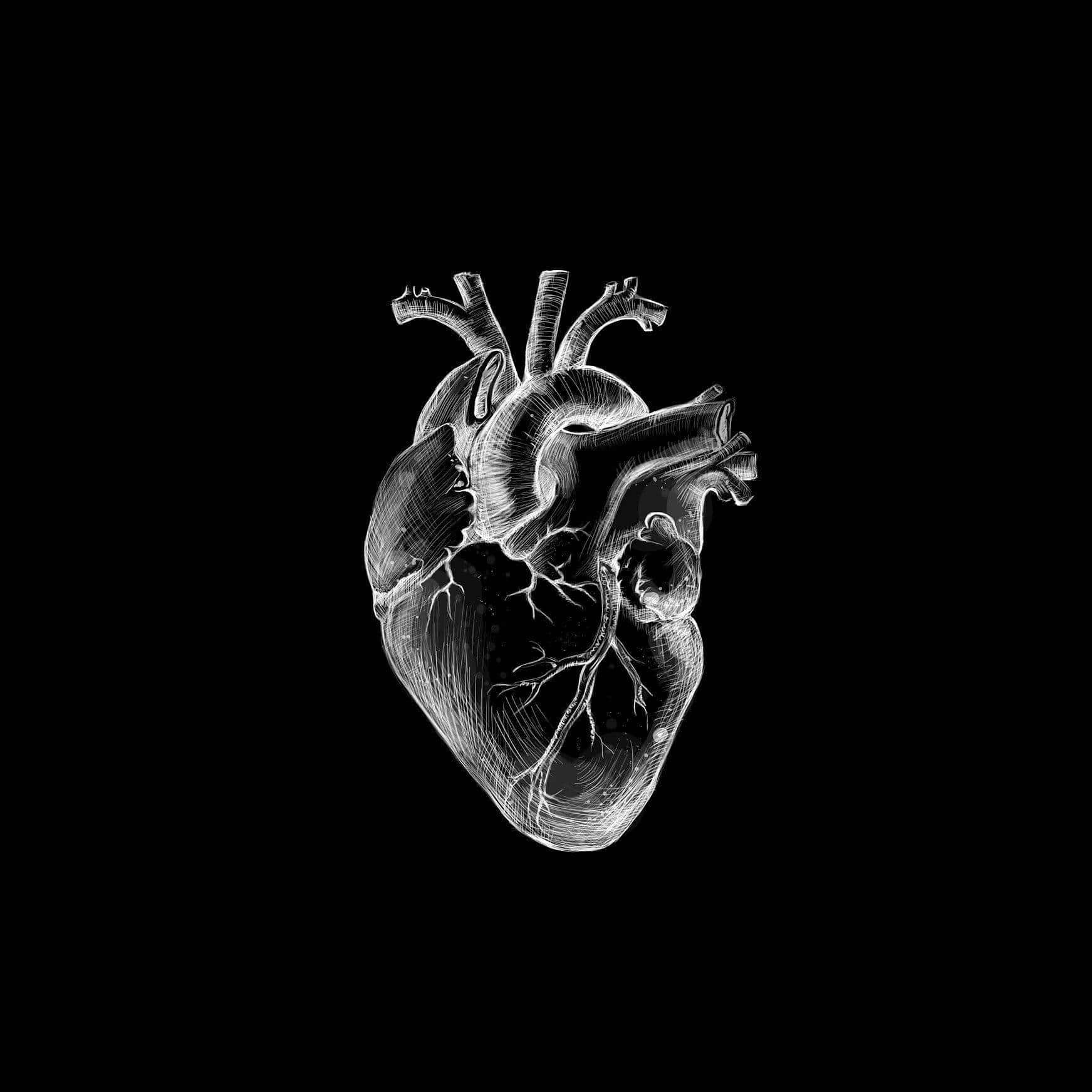 Realistic Heart Pfp Wallpaper