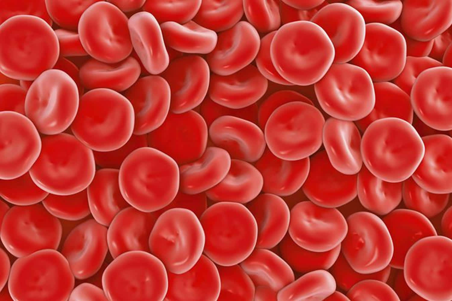 Red Blood Cells Flowing Through The Bloodstream Wallpaper