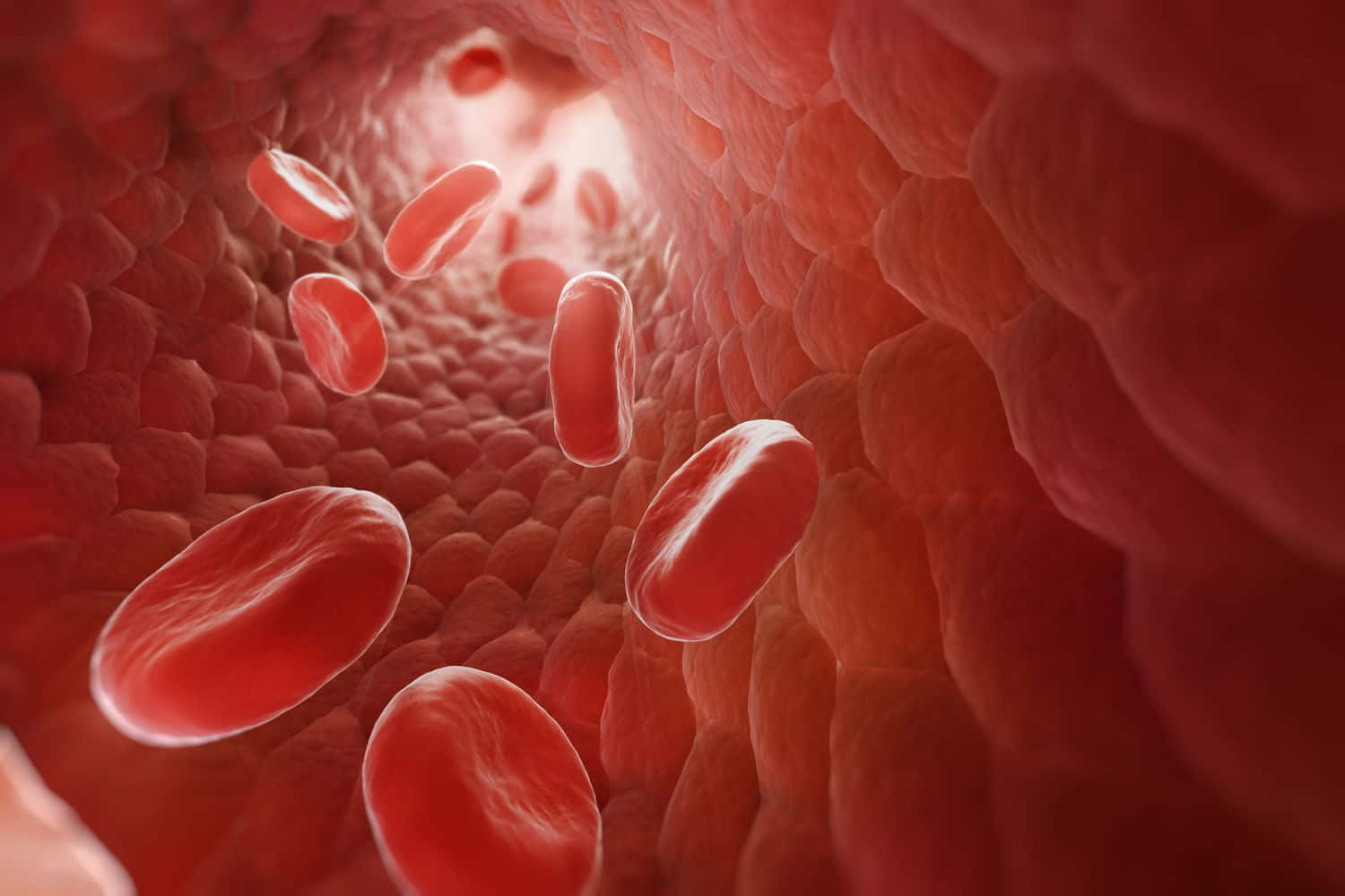 Red Blood Cells In Action Wallpaper