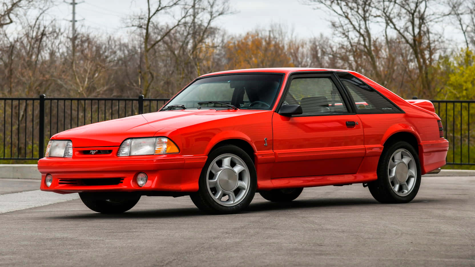 Red Ford Mustang S V T Cobra Wallpaper