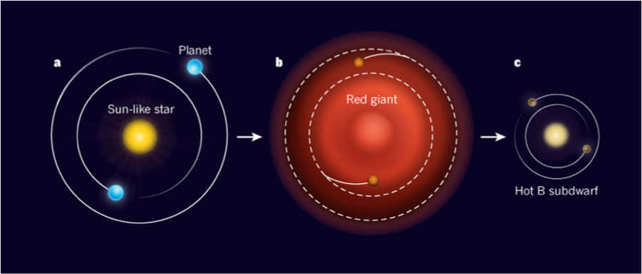 Red Giant Star Illuminating The Cosmos Wallpaper