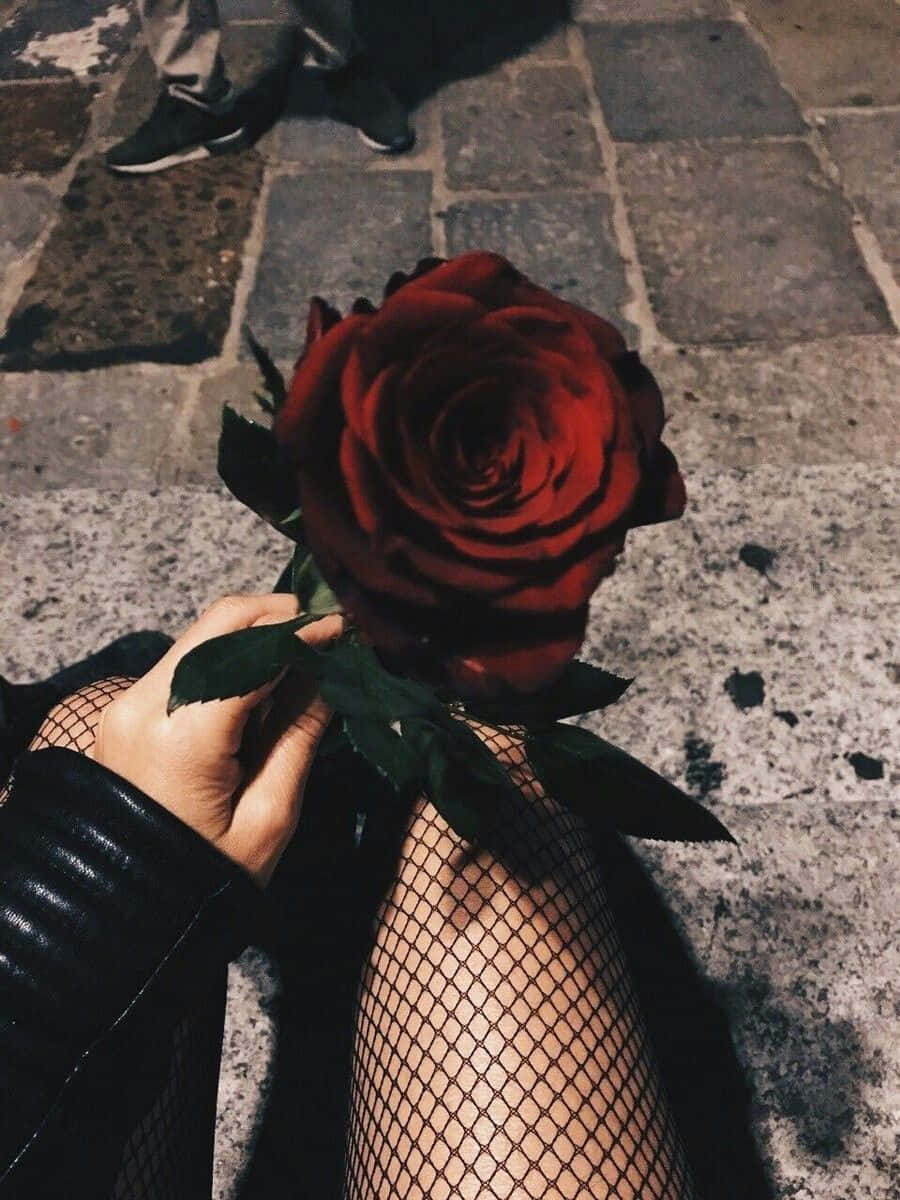 Red Rose 90s Grunge Aesthetic Wallpaper