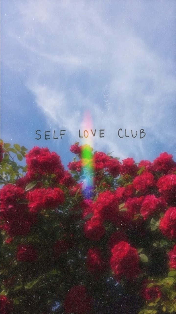 Red Roses Aesthetic Tumblr Self Love Club Wallpaper