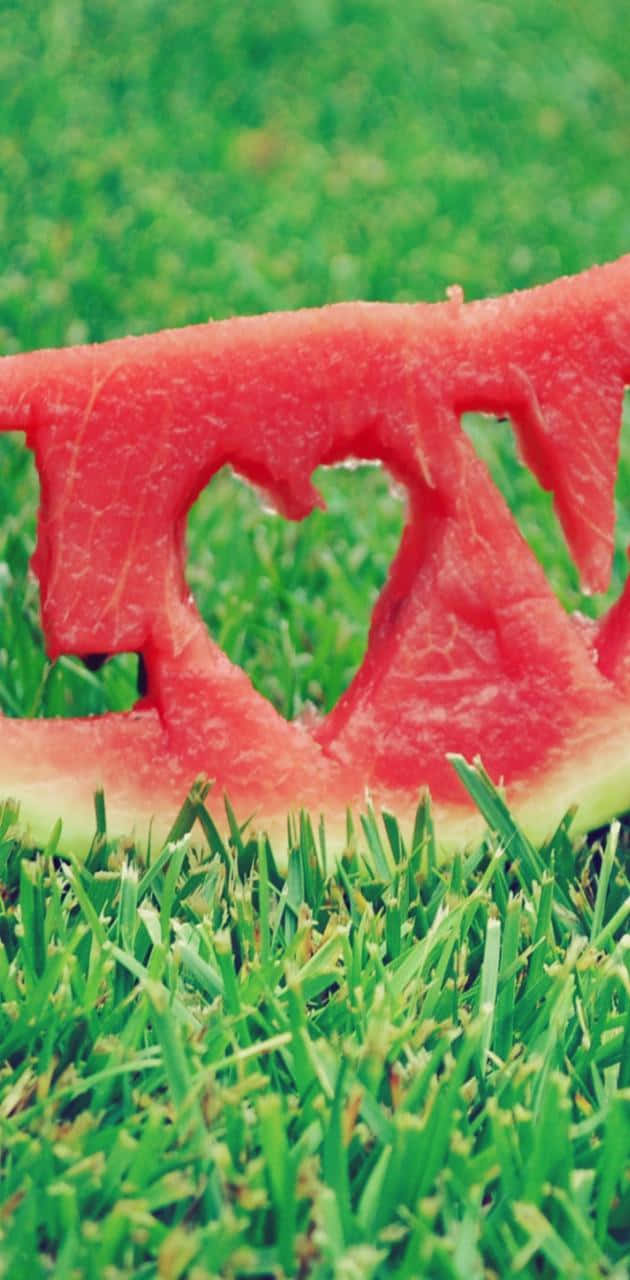 Refresh Your Day With A Watermelon-inspired Iphone. Wallpaper