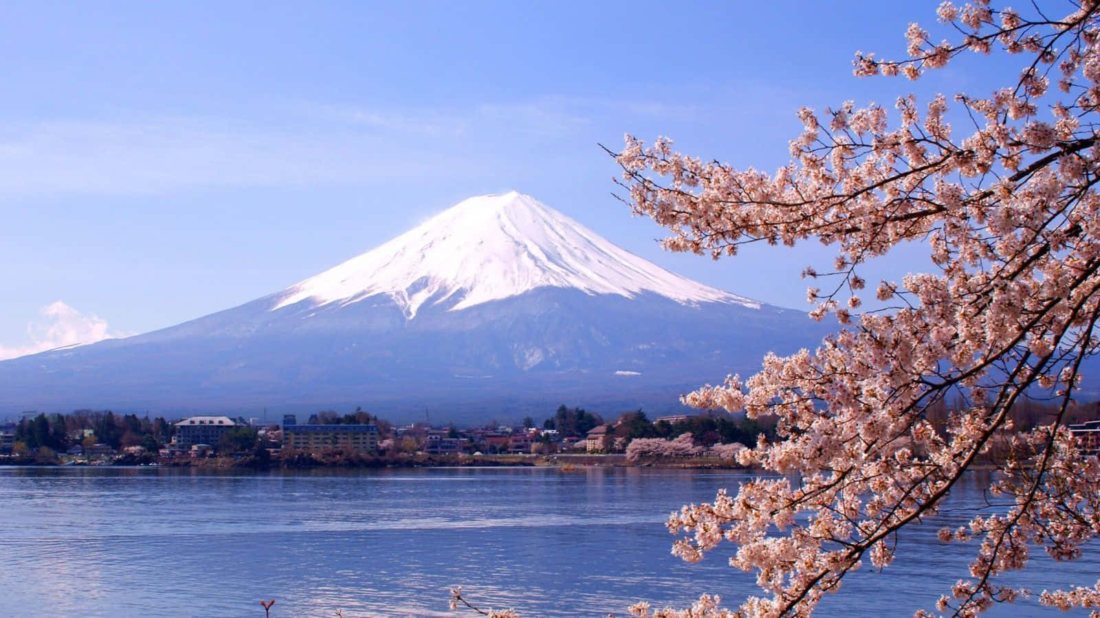 Refreshing Landscape In Japan Wallpaper