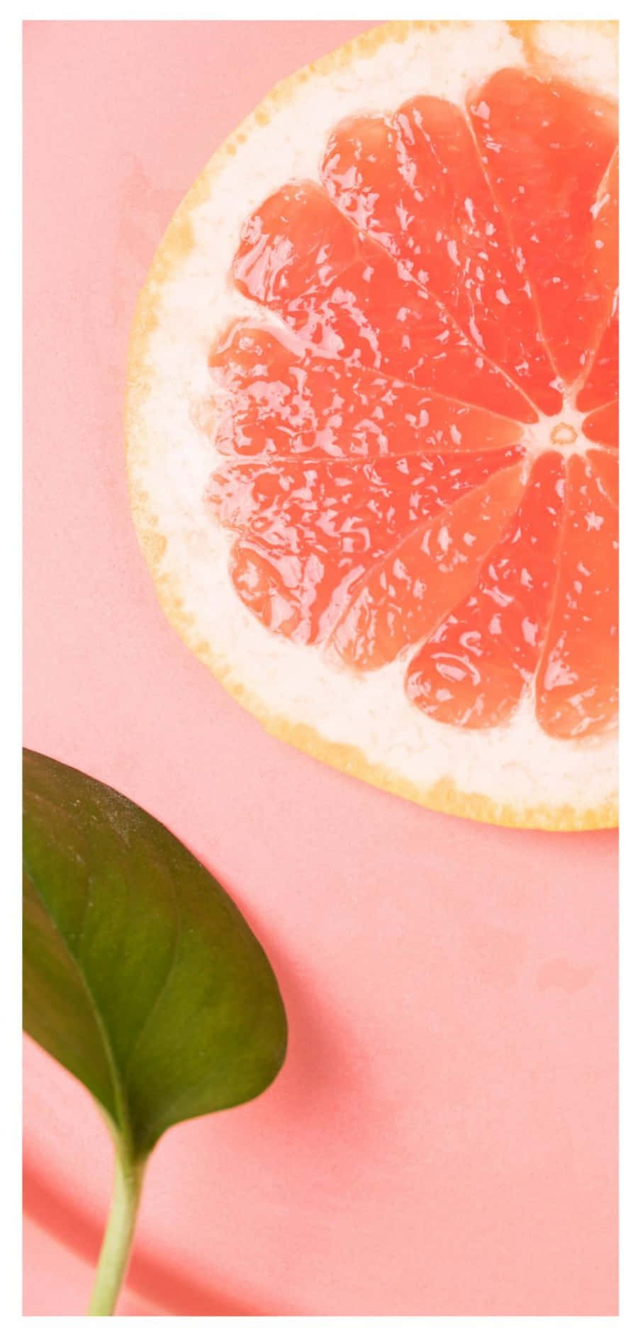 Refreshing Pink Grapefruit Slices Wallpaper