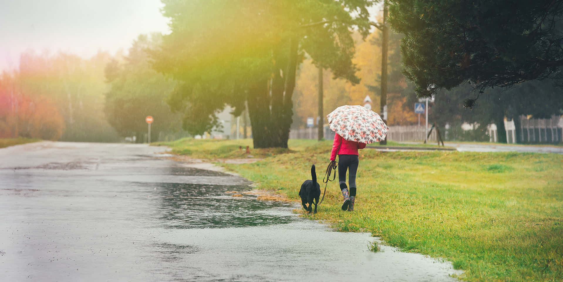 Refreshing Spring Showers Wallpaper