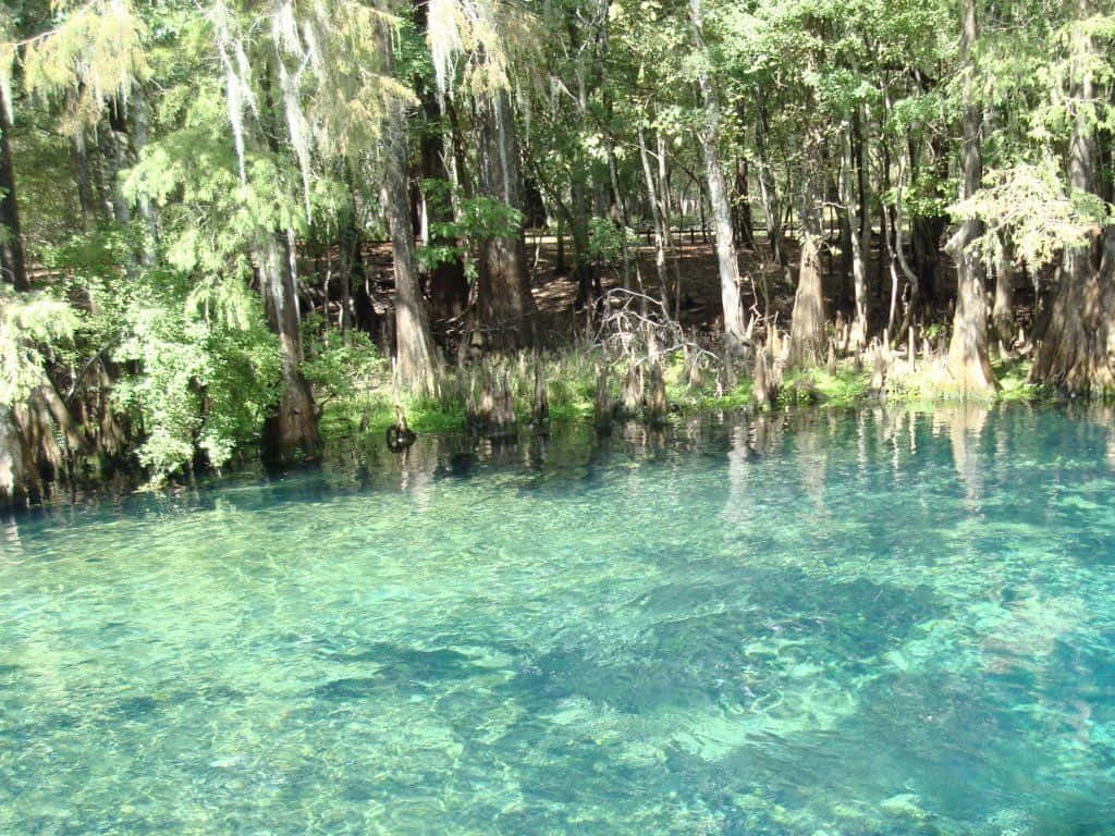 Refreshing Spring Water Flowing Through Nature Wallpaper