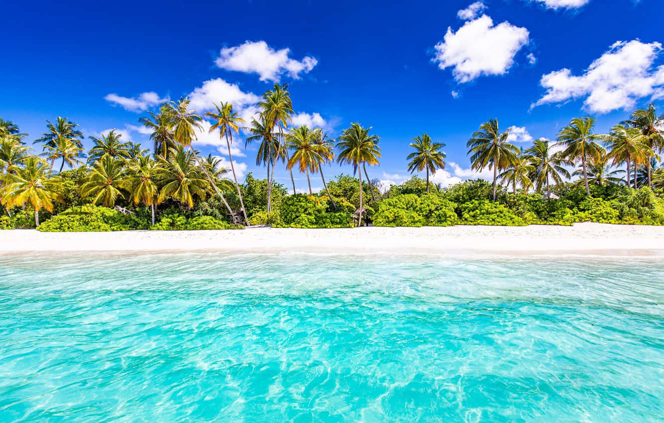 Relax And Enjoy The View At A Serene Tropical Beach Wallpaper