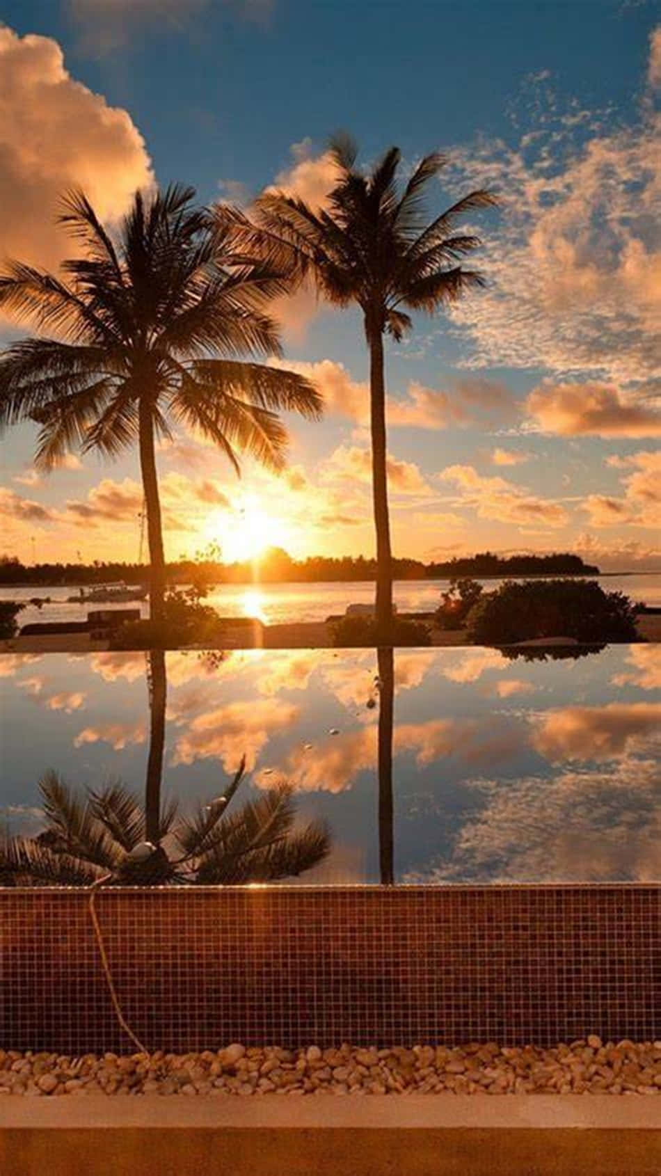 Relax By The Palm Tree Under The Warm Sun Wallpaper