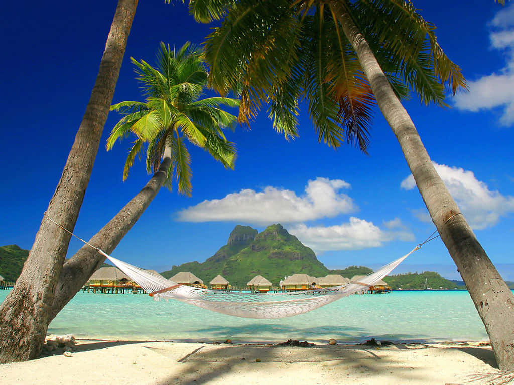 Relaxing Jamaican Beach Escape Wallpaper