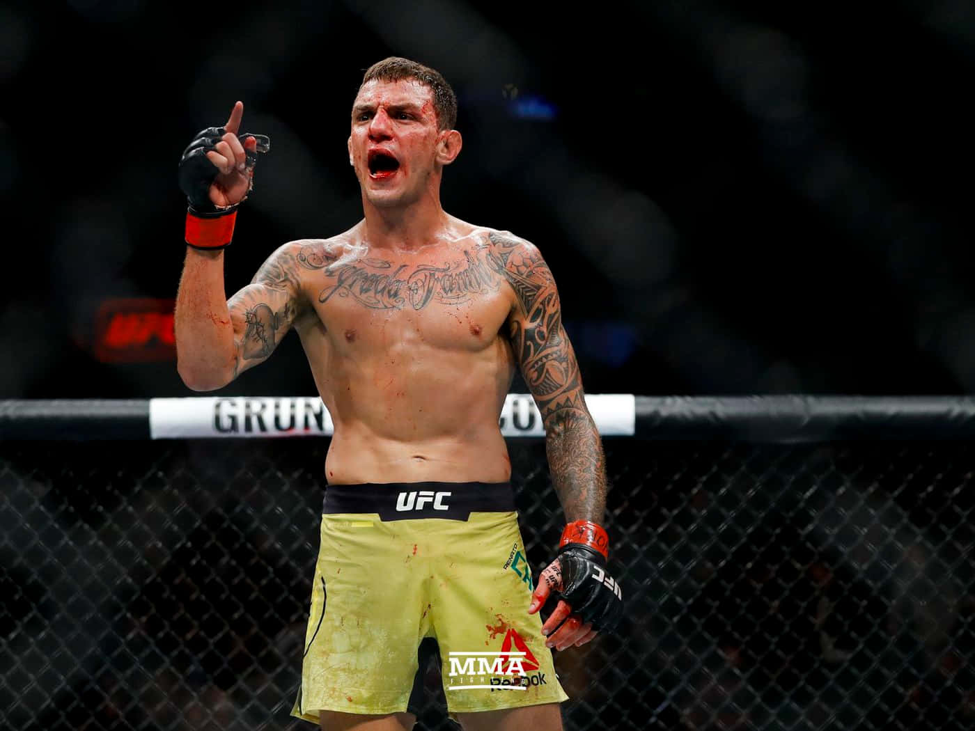 Renato Moicano Victorious In The Octagon Wallpaper