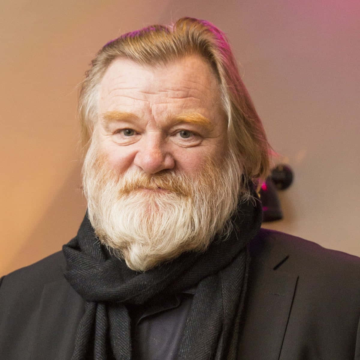 Renowned Irish Actor Brendan Gleeson Wallpaper