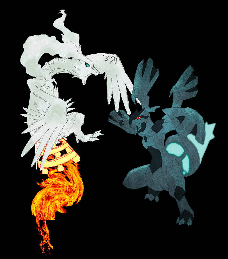 Reshiram And Zekrom Snarling Wallpaper