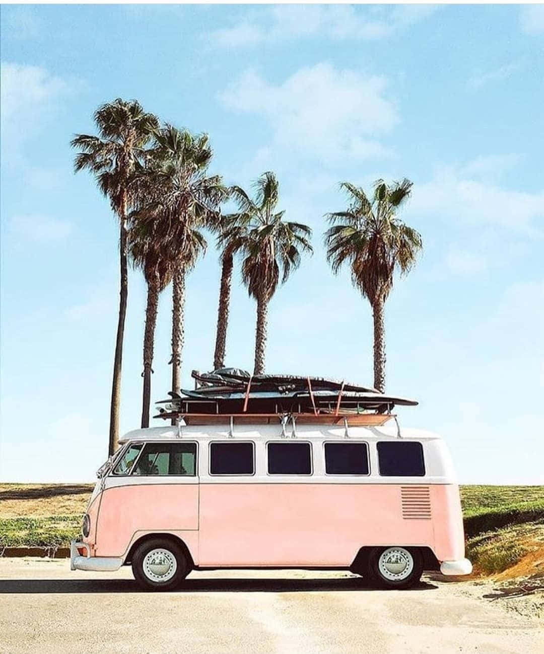 Retro Pink Van Under Palm Trees Wallpaper