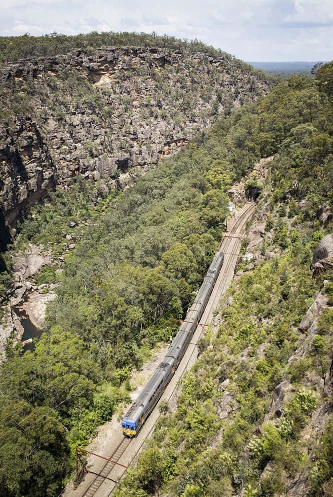 Revel In The Beauty Of Blue Mountains National Park Wallpaper