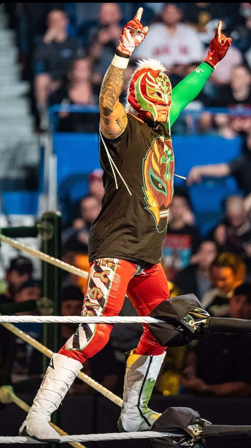 Rey_ Mysterio_ Victory_ Pose Wallpaper