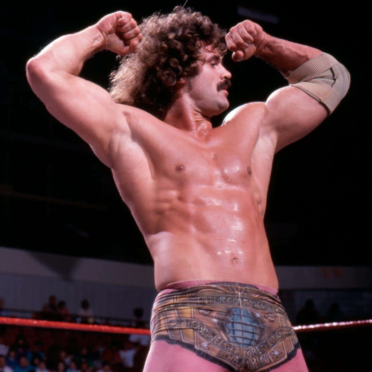 Rick Rude Simply Ravishing Wwe Legend Photo Wallpaper