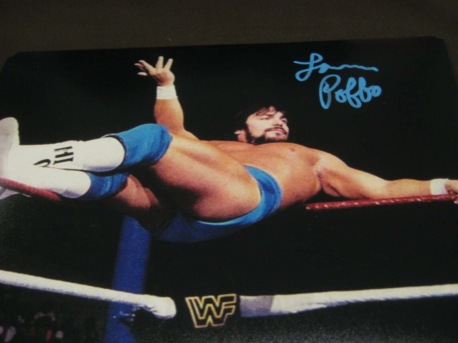 Ring Ropes Lanny Poffo Wallpaper