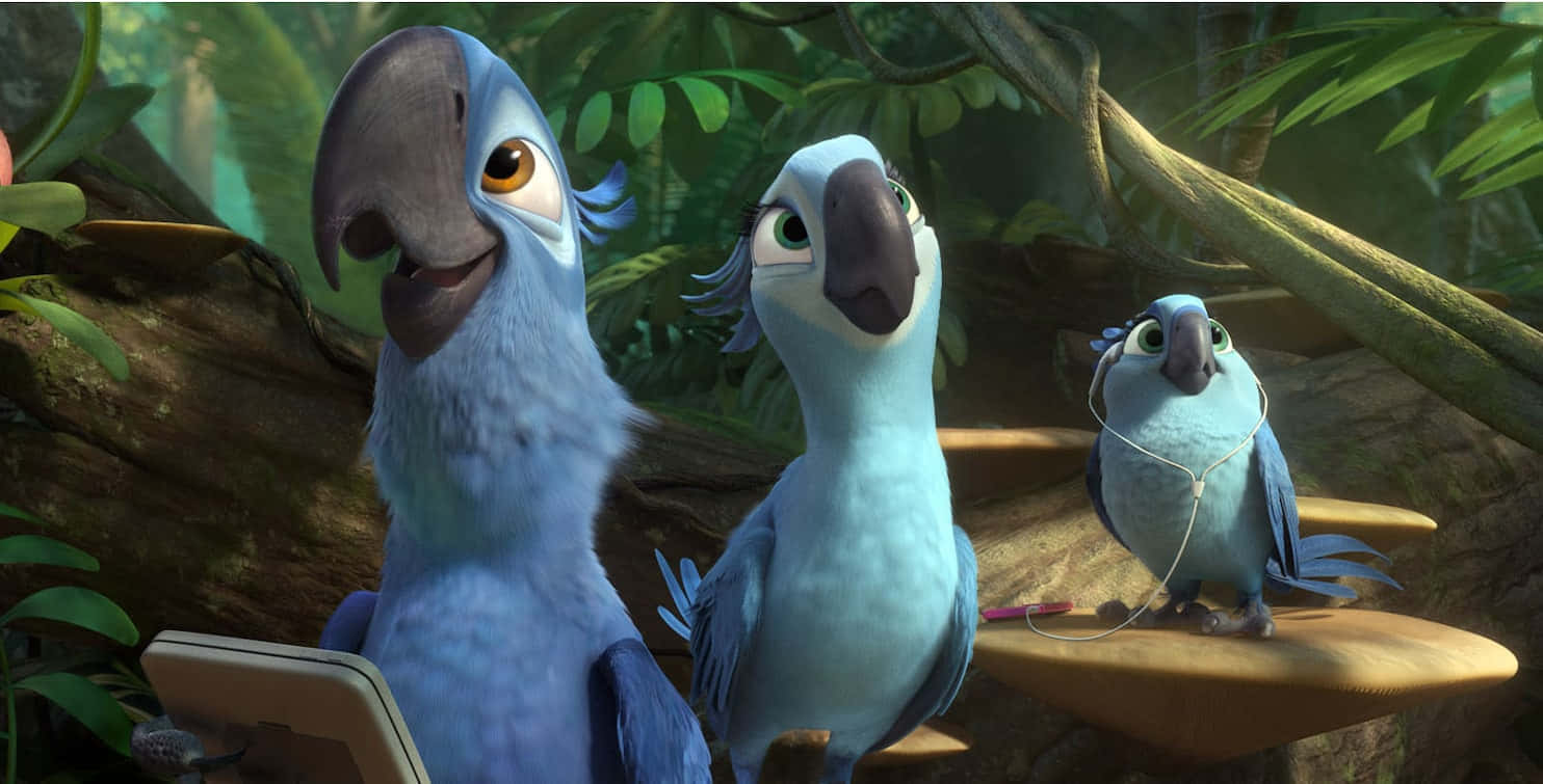 Rio 2 Blu Holding Phone Wallpaper