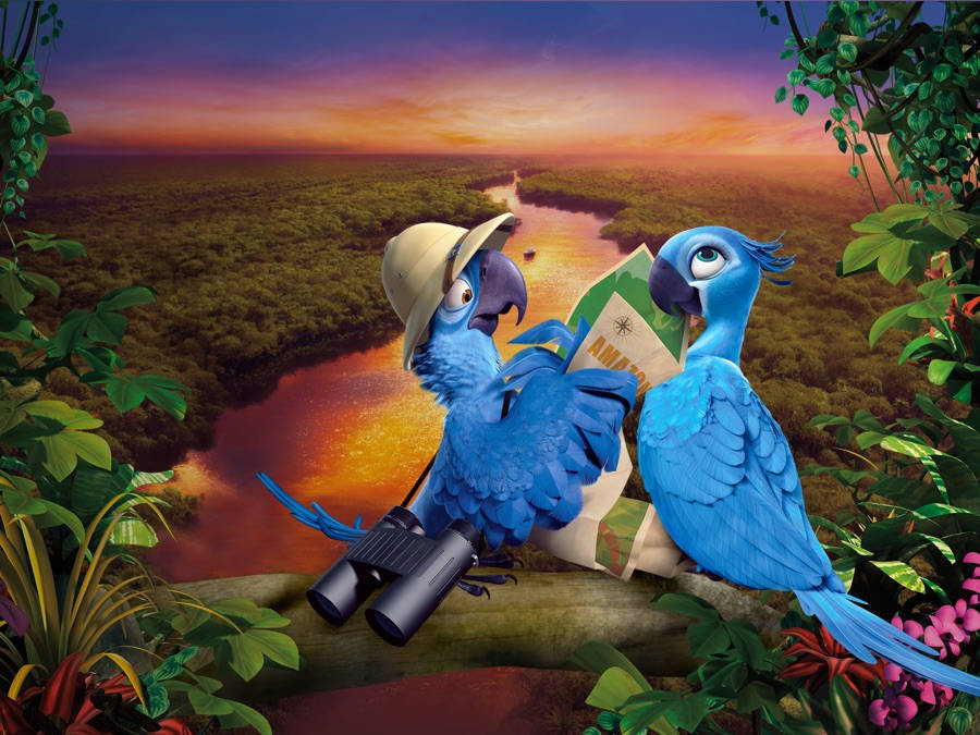 Rio 2 Blu On Branch Wallpaper