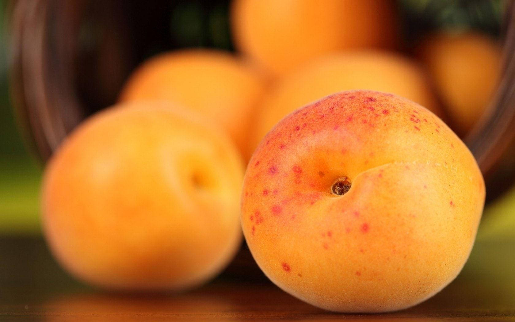 Ripe Apricot Fruits On Red Dotted Background Wallpaper