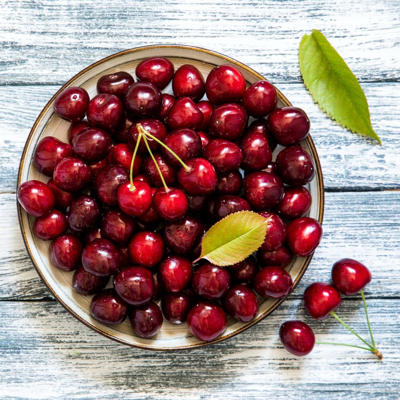 Ripe Black Cherry Hangs On A Branch, Ready For Harvest Wallpaper