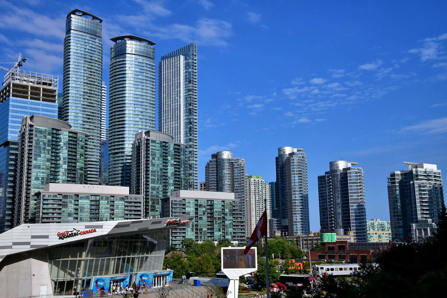 Ripleys Aquarium Toronto Skyline Wallpaper