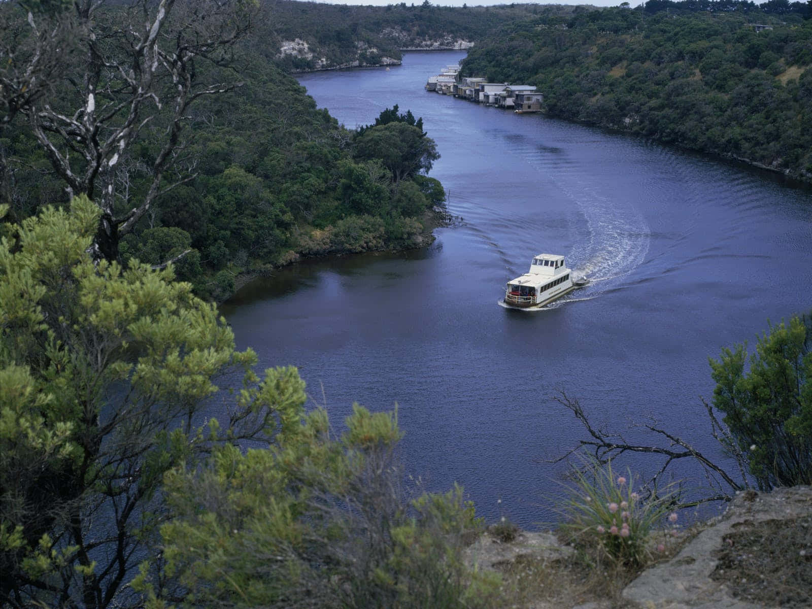 Riverboat Cruisein Tranquil Waters Wallpaper