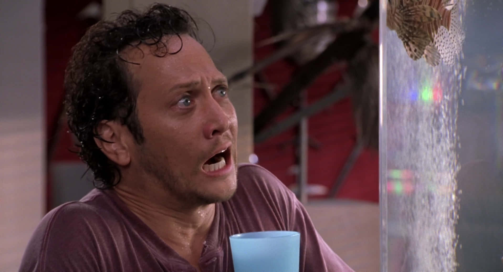 Rob Schneider As Aquarium Cleaner Wallpaper