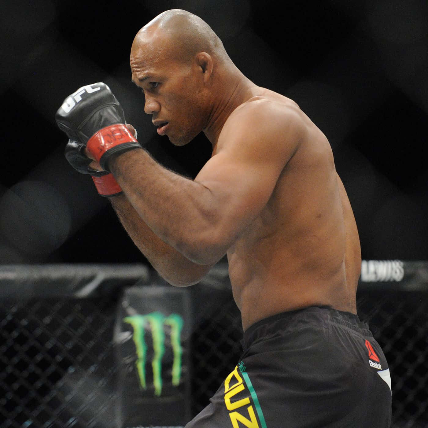 Ronaldo Souza Brazilian Ufc Martial Artist Wallpaper