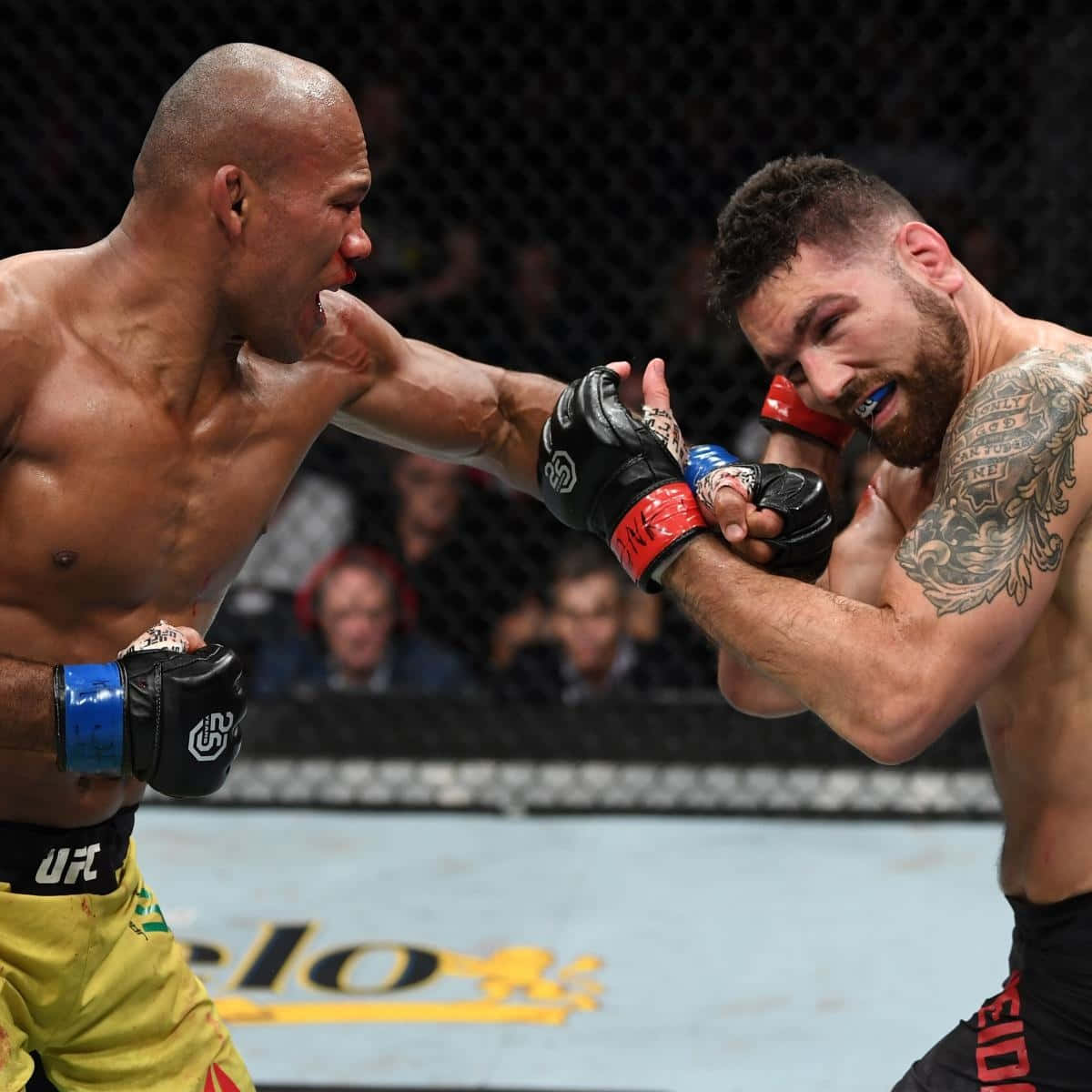 Ronaldo Souza Punching Chris Weidman Wallpaper