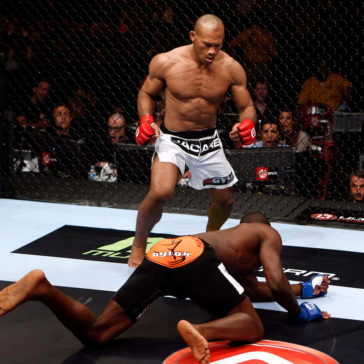 Ronaldo Souza Stands Over Derek Brunson Wallpaper