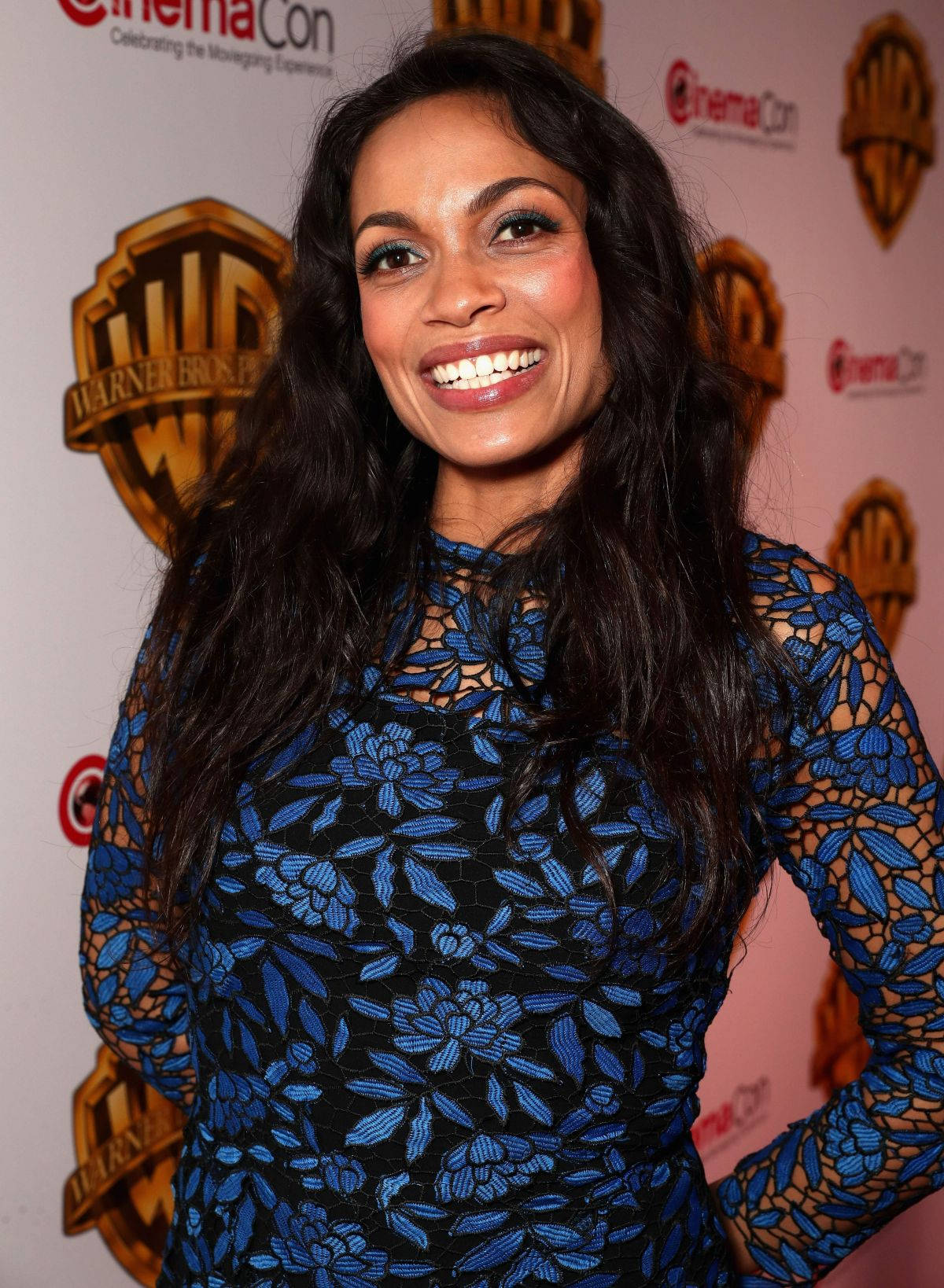 Rosario Dawson Warner Bros Wallpaper