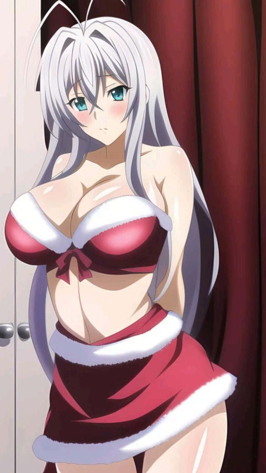 Rossweisse Highschool Dx D Christmas Outfit Wallpaper