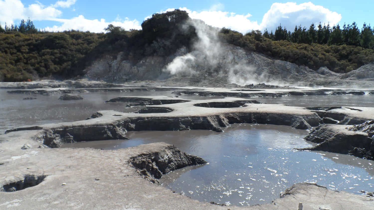 Rotorua Geothermal Area Steam Vents Wallpaper