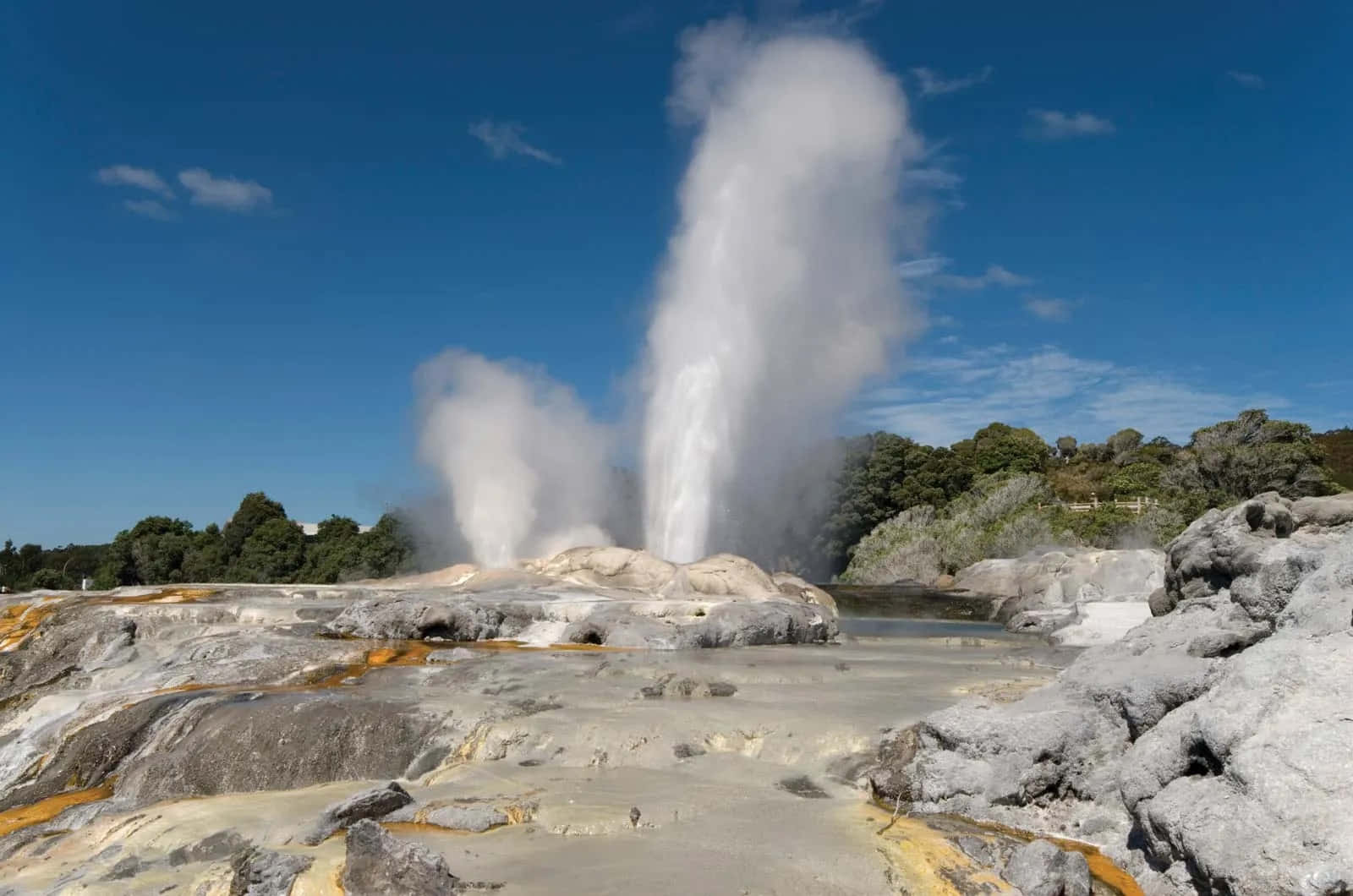 Rotorua Geothermal Geyser Eruption Wallpaper