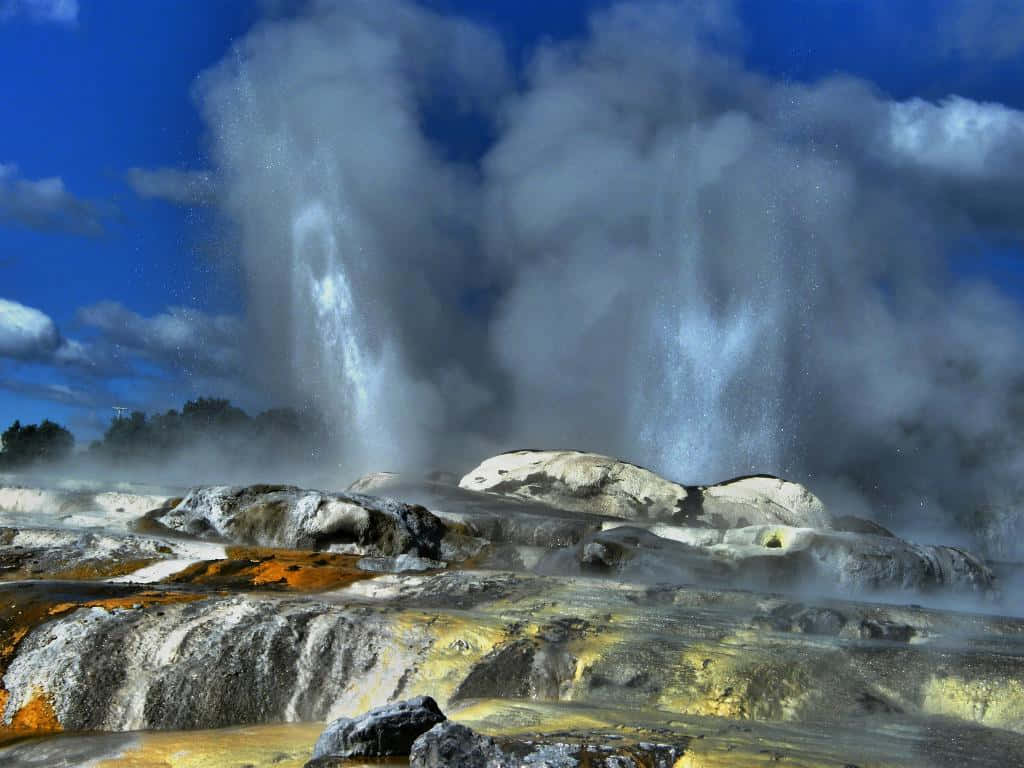 Rotorua Geothermal Geyser Eruption Wallpaper