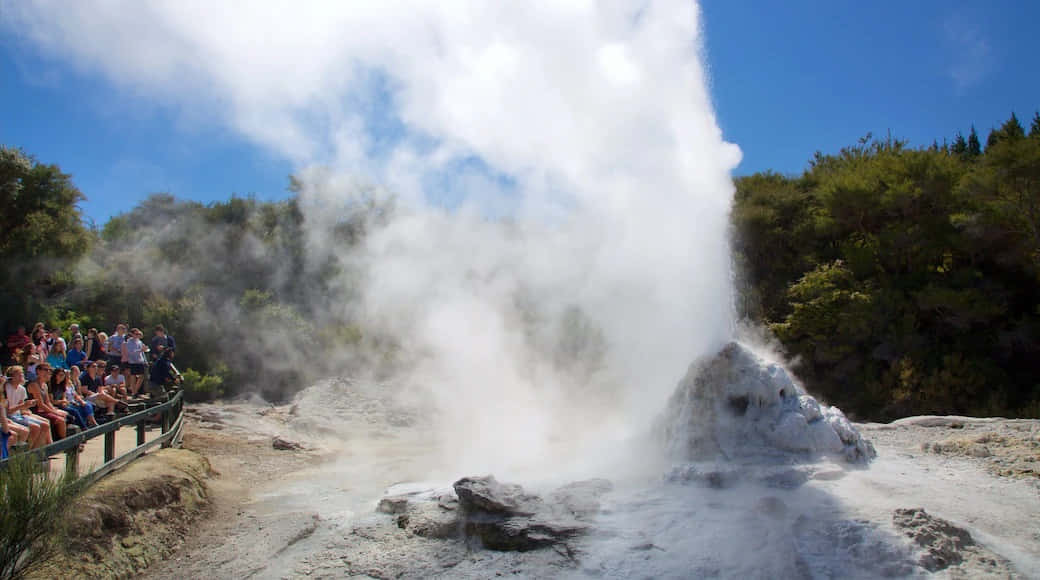 Rotorua Geothermal Geyser Eruption Wallpaper