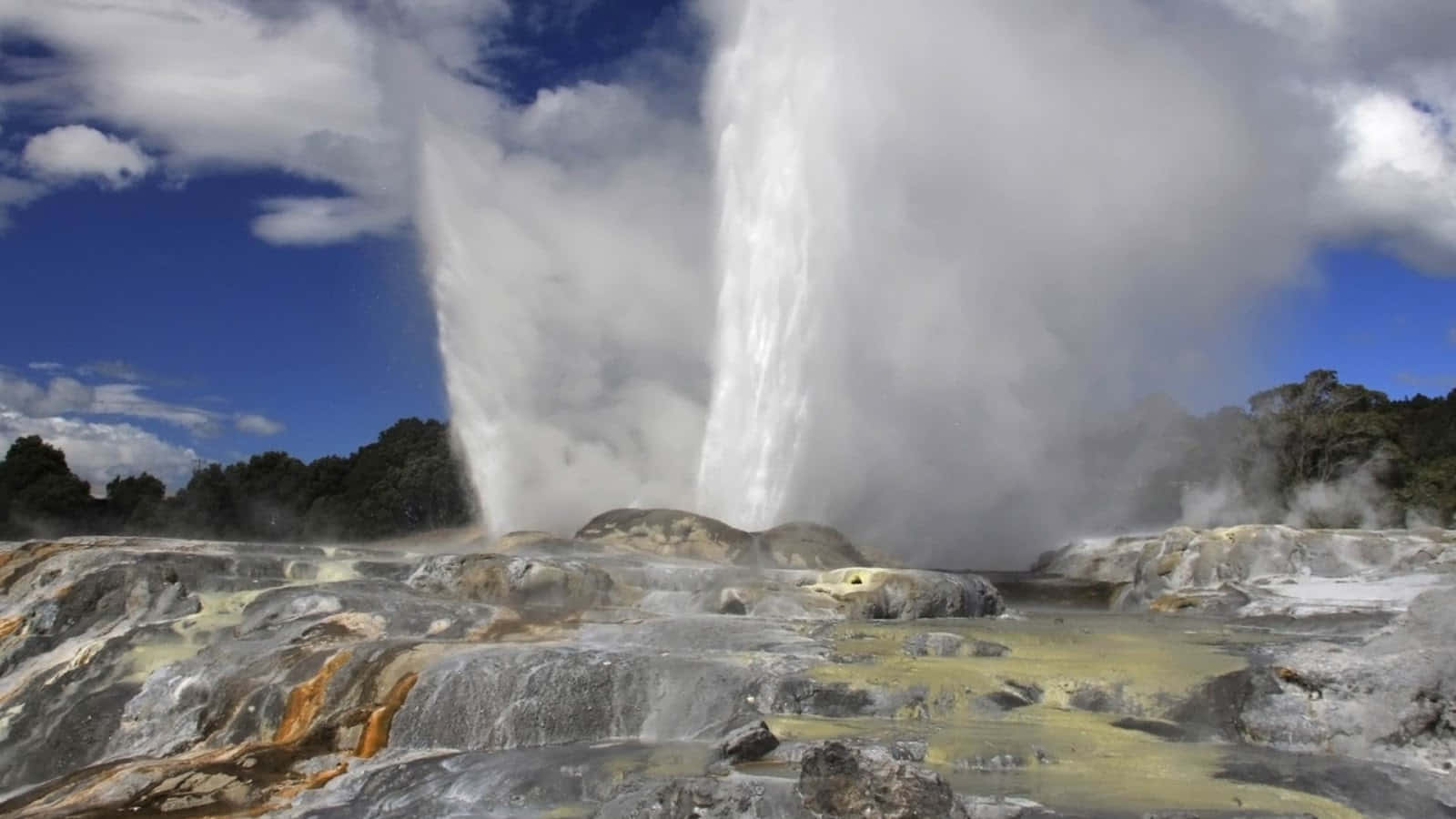 Rotorua Geothermal Geyser Eruption Wallpaper