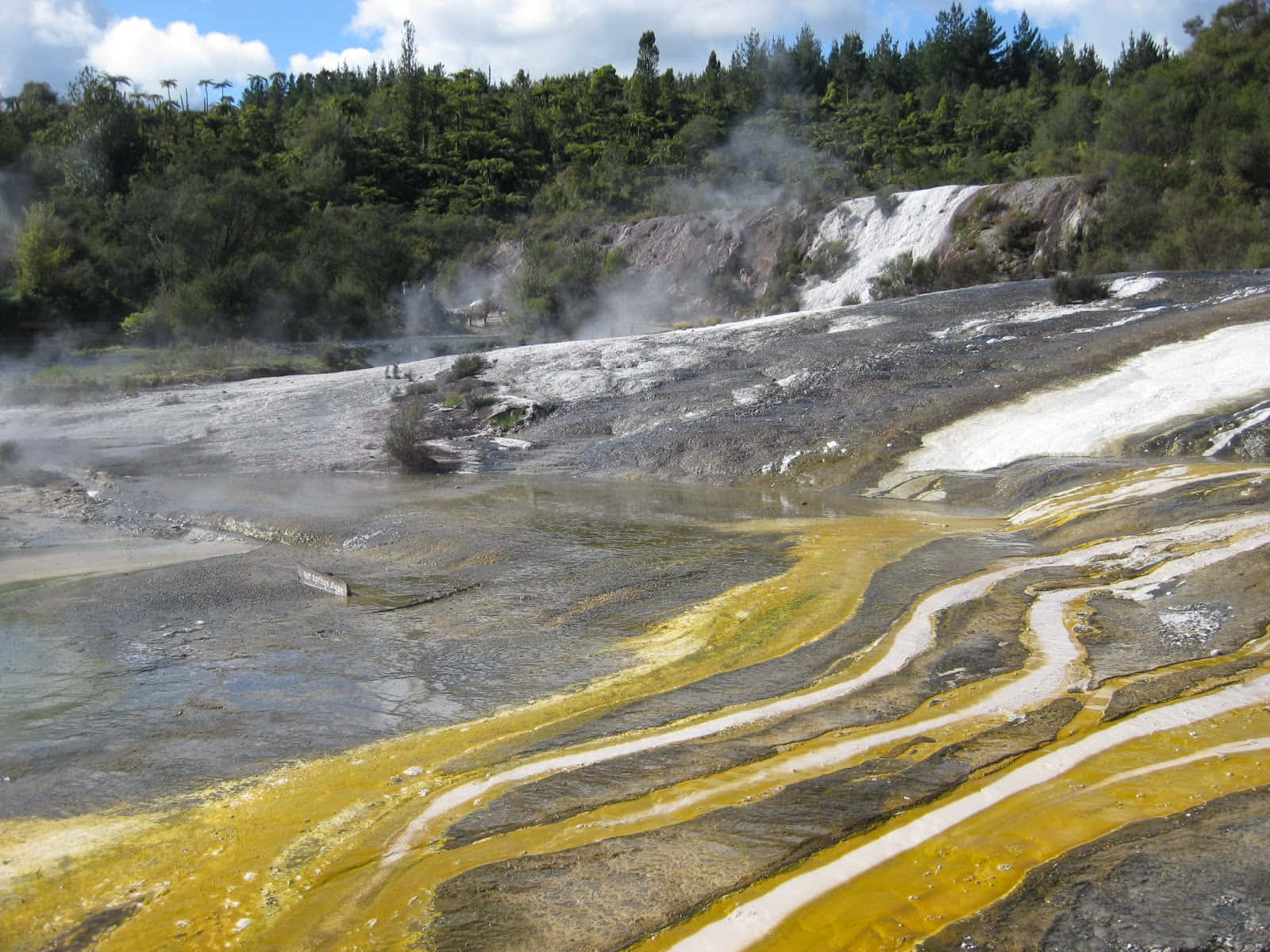 Rotorua Geothermal Landscape Wallpaper