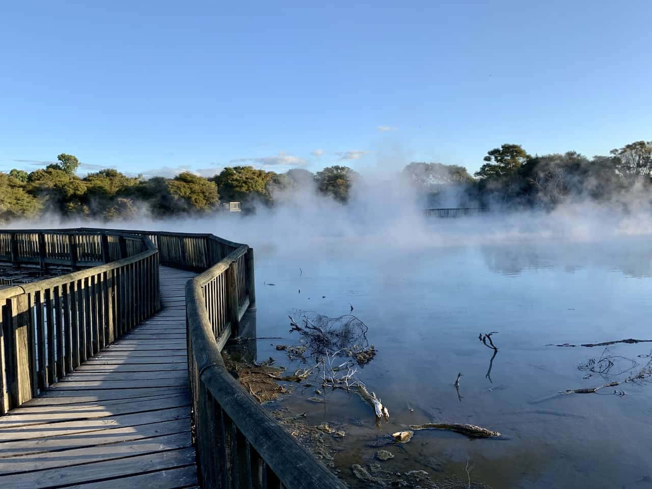 Rotorua Geothermal Walkway Mist Wallpaper