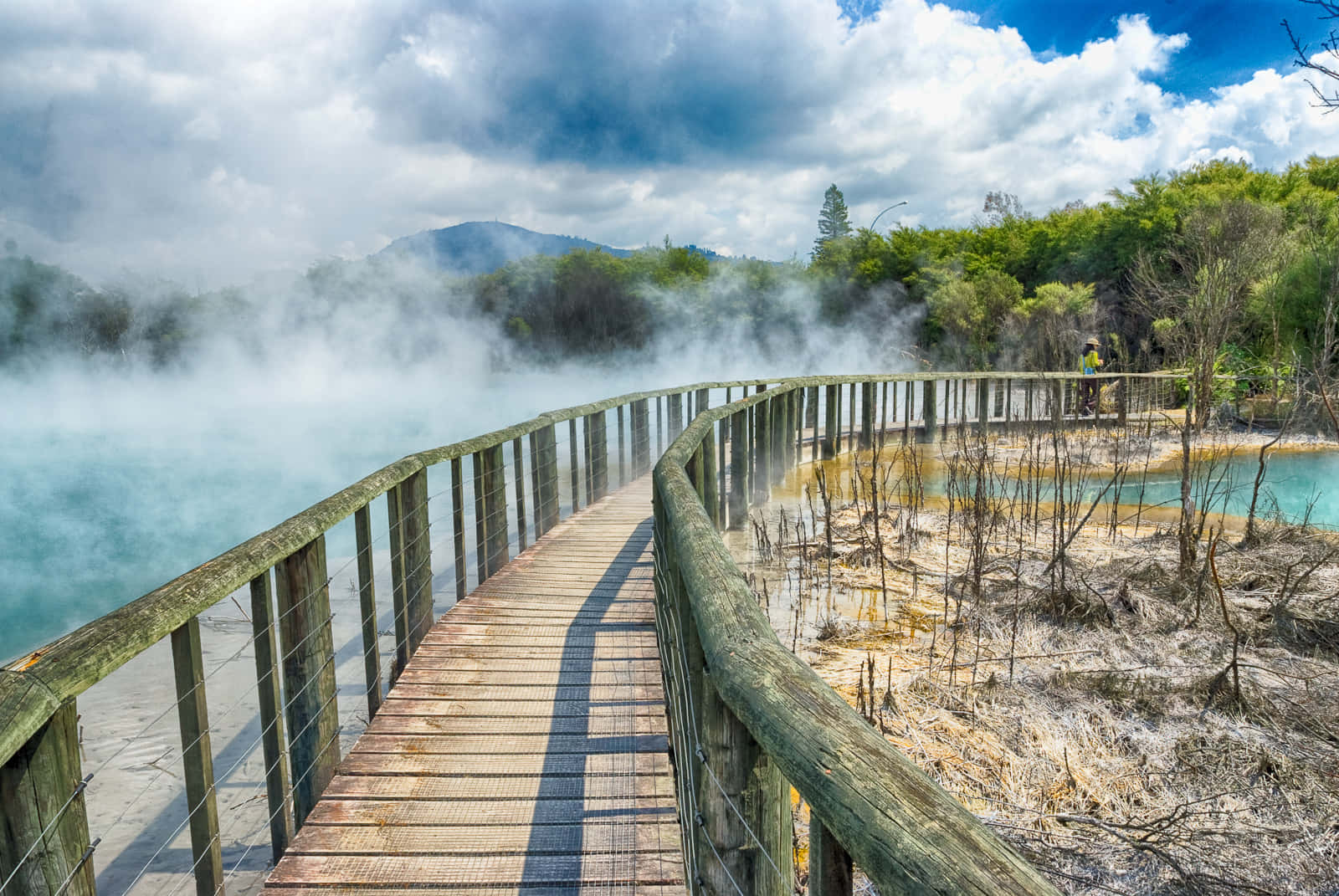 Rotorua Geothermal Walkway Steam Wallpaper