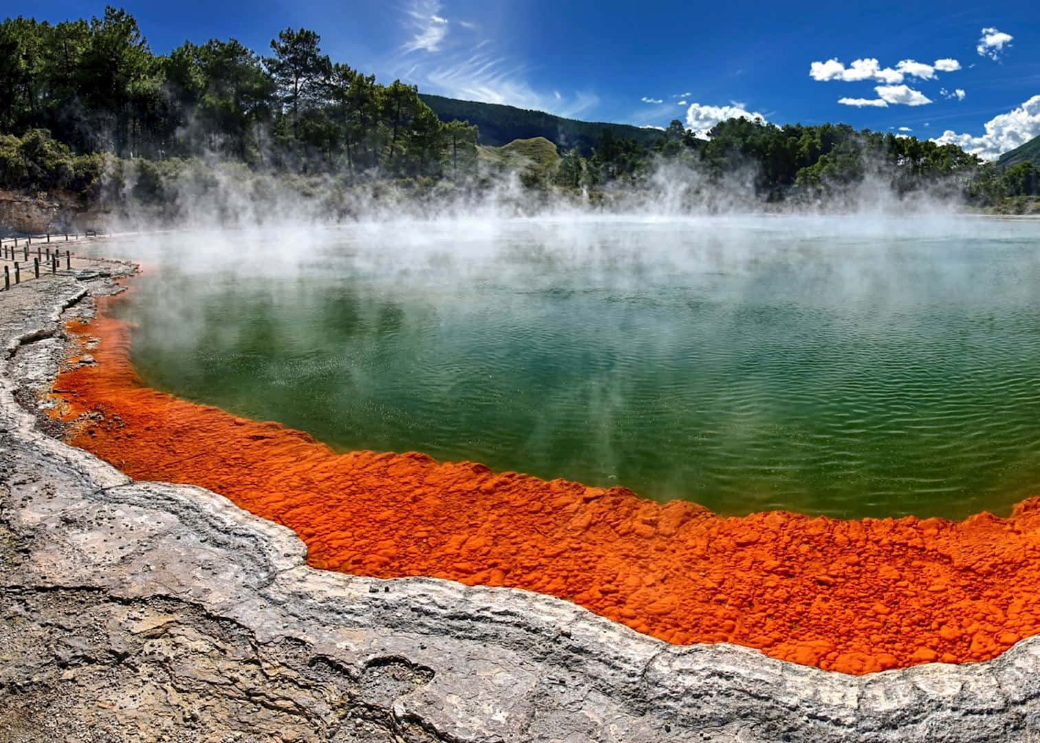 Rotorua Geothermal Wonderland Wallpaper