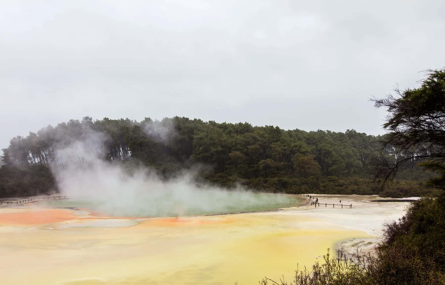 Rotorua Geothermal Wonderland Wallpaper